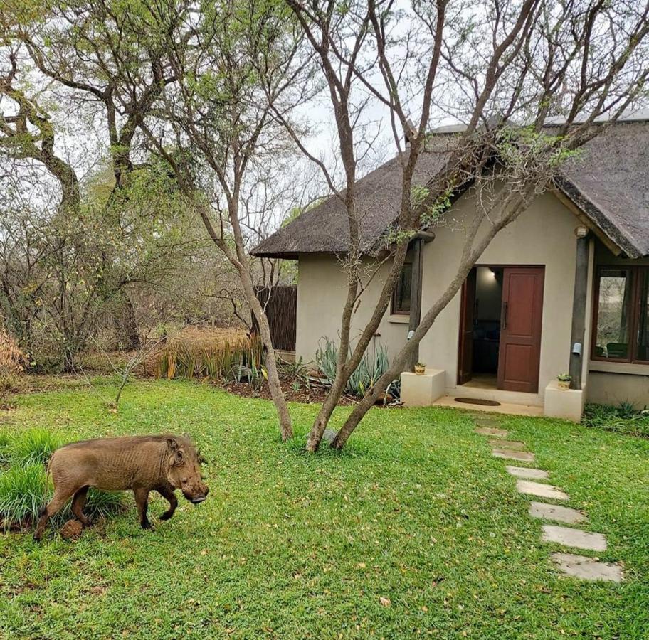 13 Raptors Lodge Hoedspruit Exterior foto